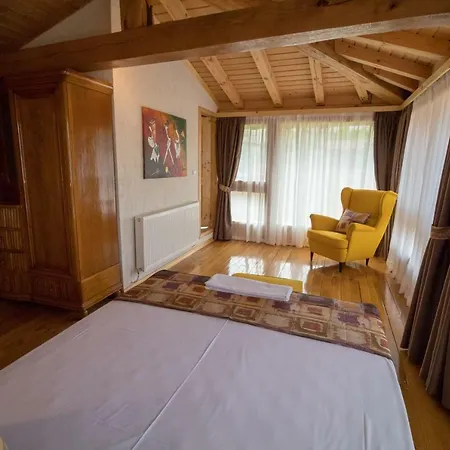 Πανσιόν Epochs Since 1871 Lyaskovets